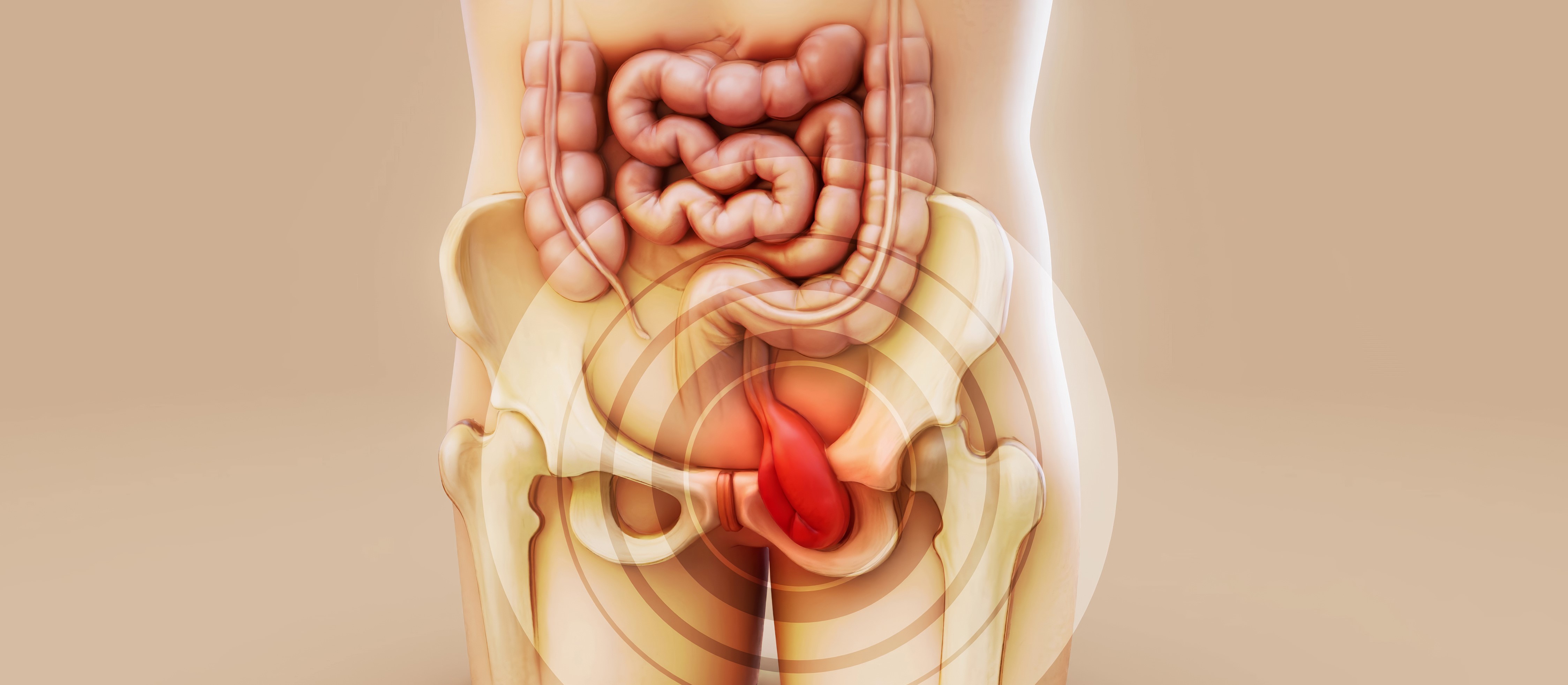 Hernia Operation Specialist Doctor